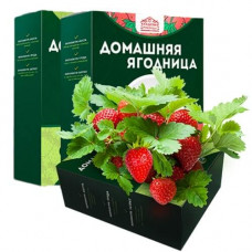 Домашняя ягодница