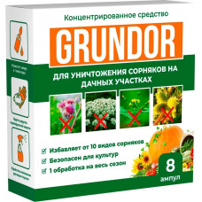 Грундор Грундор