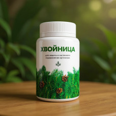 Хвойница