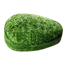Energrass