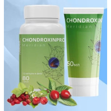 ChondroxinPro Meridian ChondroxinPro Meridian